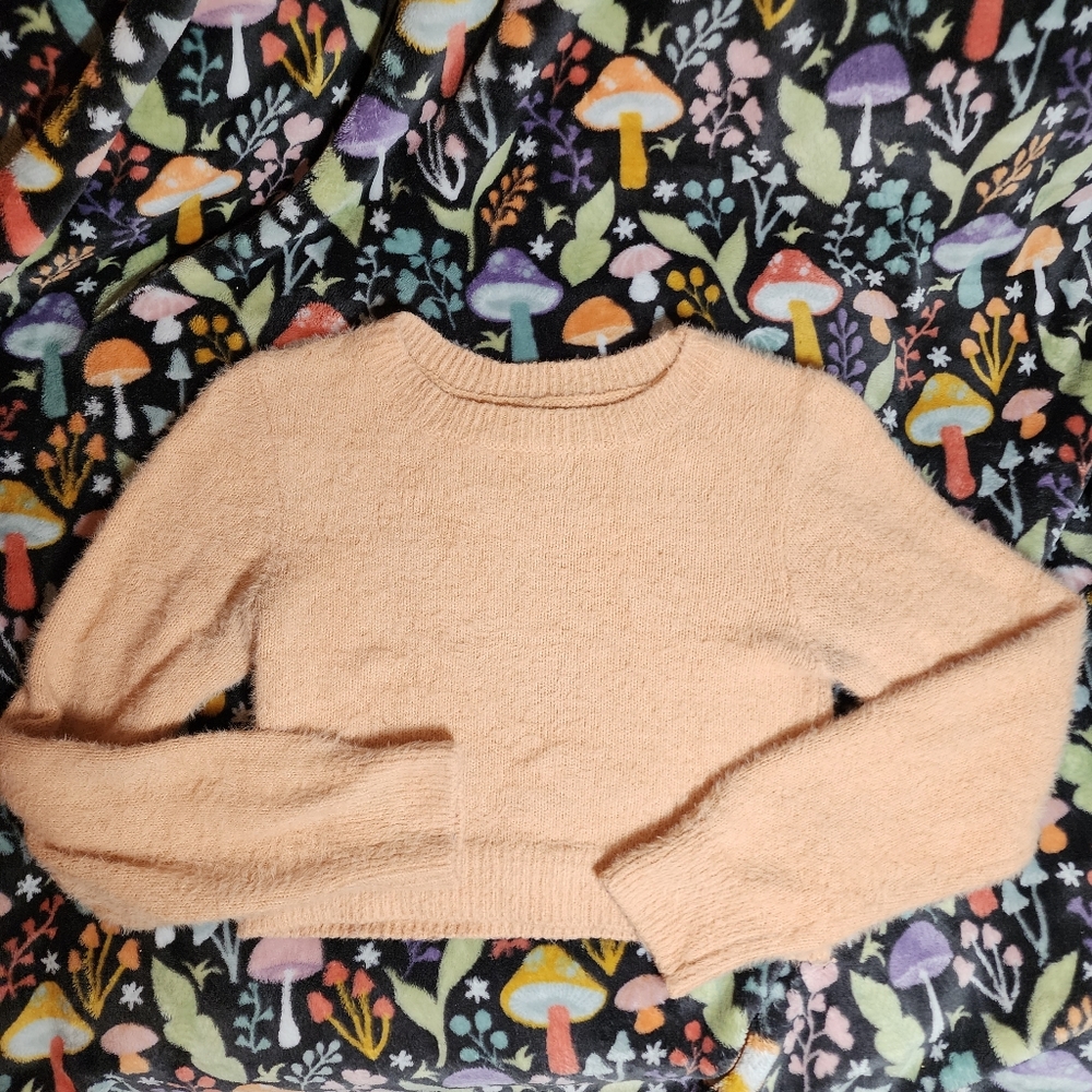 Urban Outfitters Cozy Crop Fuzzy Sweater Peach Long Sleeves Medium